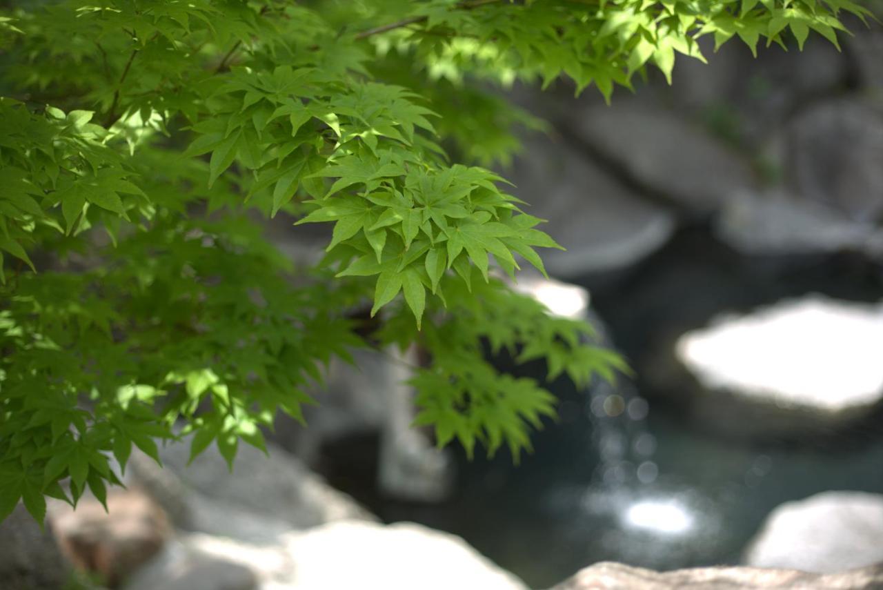 Hacho No Yu Hotel Nikko Bagian luar foto